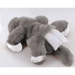 Chloe The Comfort Cat -FLAGHOUSE Sales Shop ChloeTheComfortCat XL 3