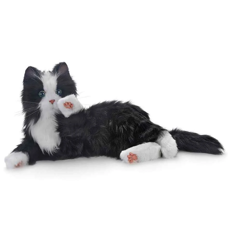 Companion Pets - Black And White Tuxedo Cat 4 Companion Pets - Black And White Tuxedo Cat - Image 2