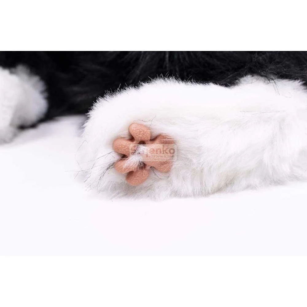 Companion Pets - Black And White Tuxedo Cat 7 Companion Pets - Black And White Tuxedo Cat - Image 5