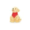 Companion Pets - Golden Pup -FLAGHOUSE Sales Shop CompanionPets GoldenPup XL