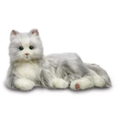 Companion Pets - Silver With White Mits Cat
