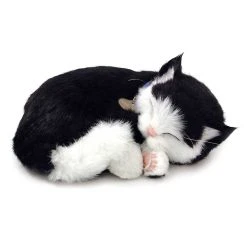 Perfect PetzzzÂ® Black & White Shorthair Cat