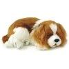 Perfect PetzzzÂ® Cavalier King Charles Spaniel -FLAGHOUSE Sales Shop PerfectPetzzzCavalierKingCharlesSpaniel XL