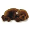Perfect Petzzz® Chocolate Lab 1 Perfect Petzzz® Chocolate Lab -FLAGHOUSE Sales Shop PerfectPetzzzChocolateLab XL
