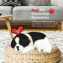 Perfect PetzzzÂ­Â® Border Collie -FLAGHOUSE Sales Shop PerfectPetzzzc2adc2aeBorderCollie XL 1