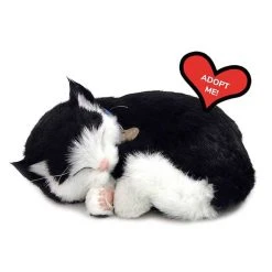 Perfect Petzzz® Black & White Shorthair Cat 9 Perfect Petzzz® Black & White Shorthair Cat -FLAGHOUSE Sales Shop PerfectPetzzzc2aeBlackWhiteShorthairCat XL 2