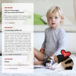 Perfect PetzzzÂ® Calico Cat -FLAGHOUSE Sales Shop PerfectPetzzzc2aeCalicoCat XL 1