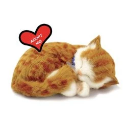 Perfect PetzzzÂ® Orange Tabby Cat -FLAGHOUSE Sales Shop PerfectPetzzzc2aeOrangeTabbyCat XL 2