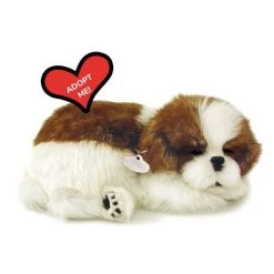 Perfect PetzzzÂ® Shih Tzu -FLAGHOUSE Sales Shop PerfectPetzzzc2aeShihTzu XL 2