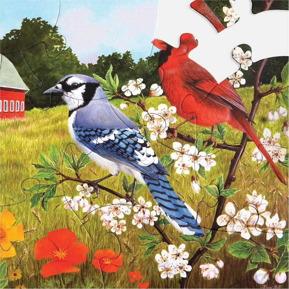 Puzzles - Summer Birds 5 Puzzles - Summer Birds - Image 3