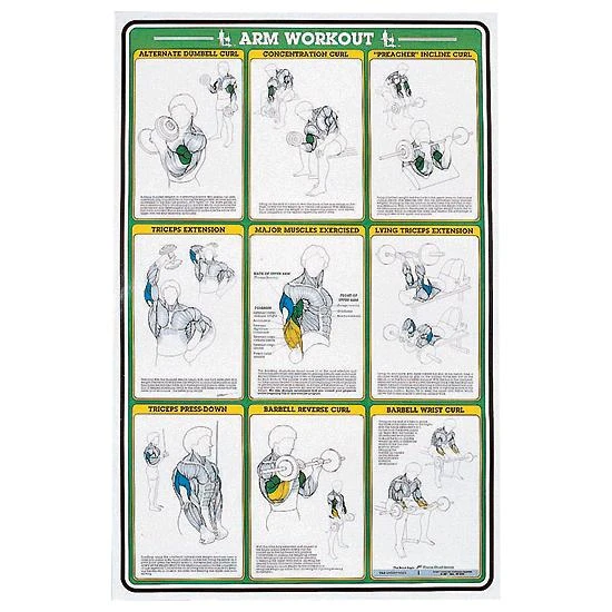 Self - Instruction Weight Training Poster - Arm Exercises 3 Self - Instruction Weight Training Poster - Arm Exercises