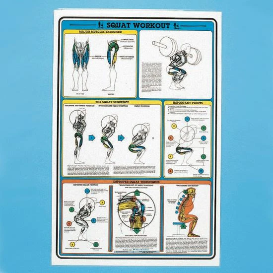 Self - Instruction Weight Training Poster - Squat Exercises 3 Self - Instruction Weight Training Poster - Squat Exercises