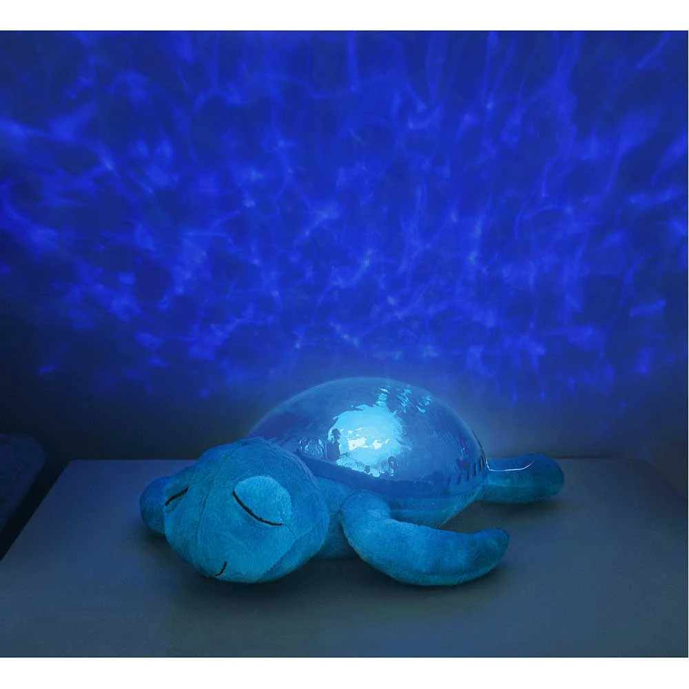 Tranquil Turtle 5 Tranquil Turtle - Image 3