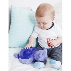 Tranquil Turtle 9 Tranquil Turtle -FLAGHOUSE Sales Shop TranquilTurtle XL 3